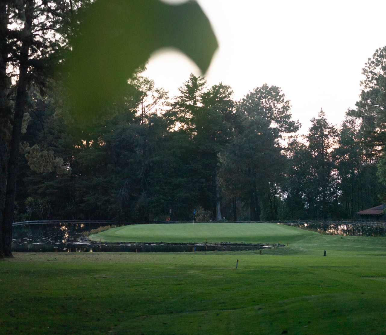 Green del campo de golf de Rancho Avándaro entre el bosque