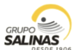 Logotipo de Grupo Salinas